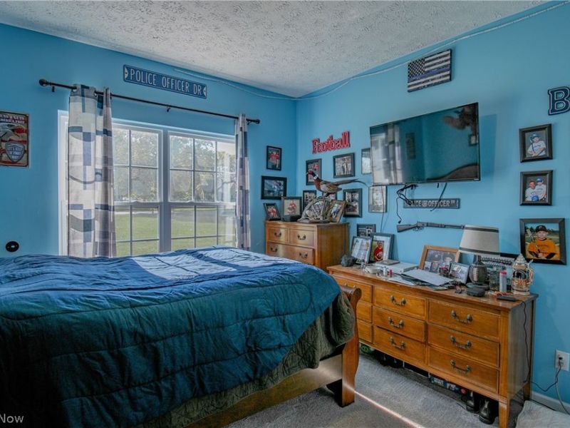 4009 Greenwich Road, Norton, OH 44203 Photo 21