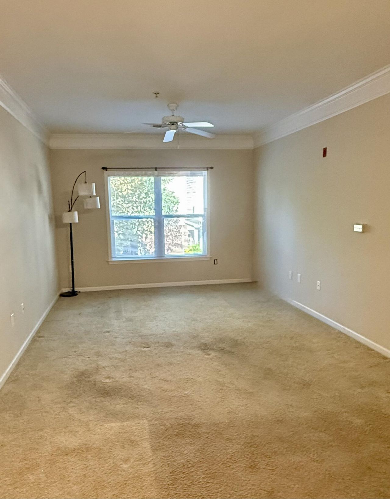 1755 Central Park Road Photo 19