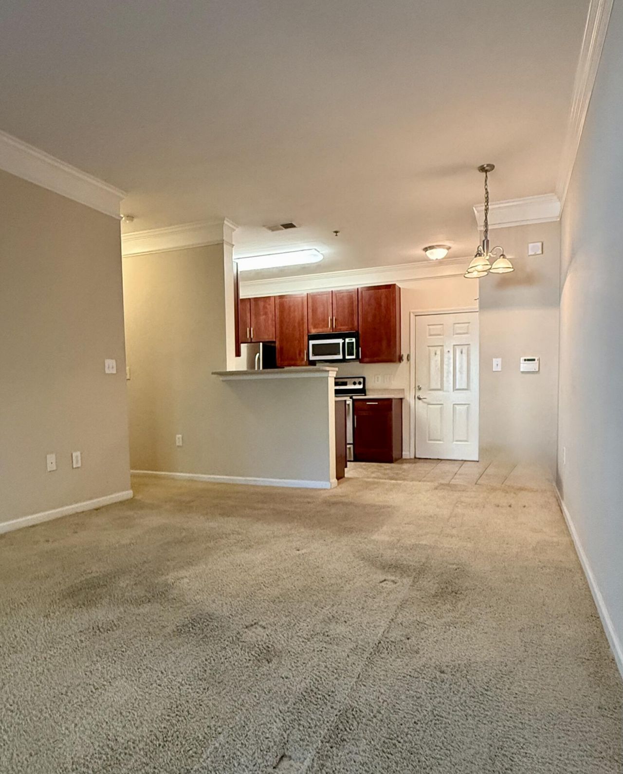 1755 Central Park Road Photo 21