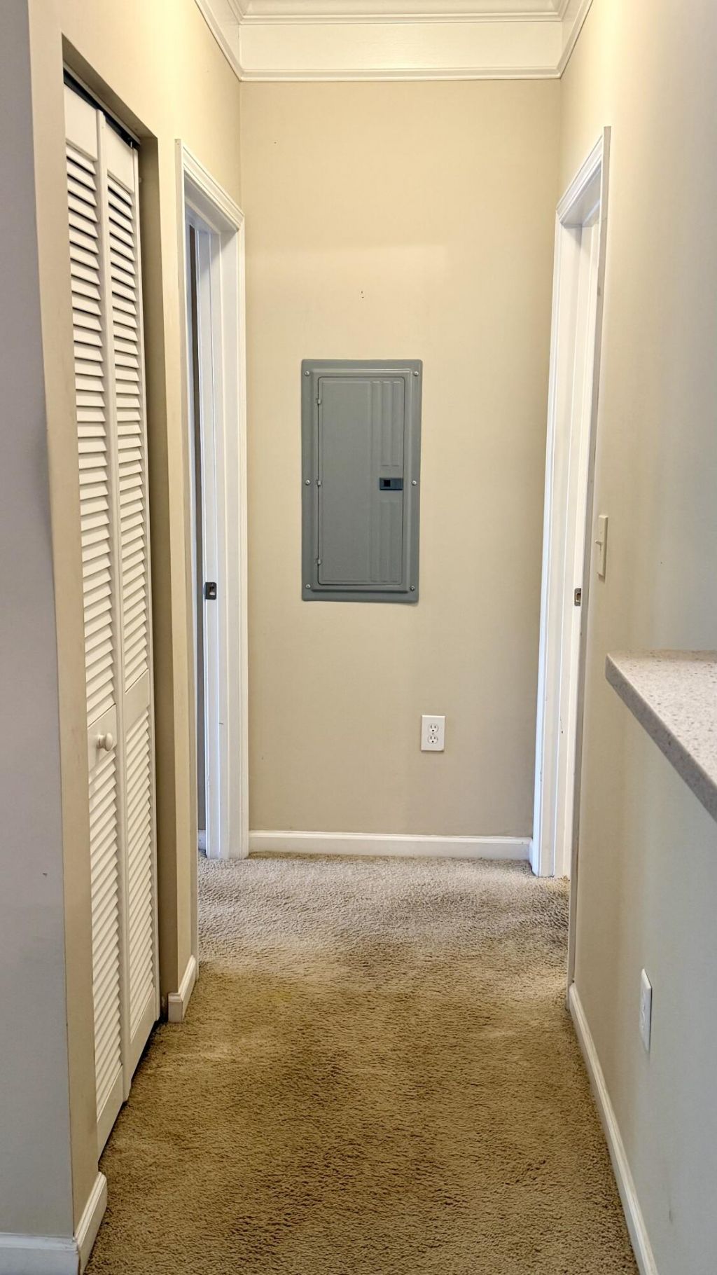 1755 Central Park Road Photo 23