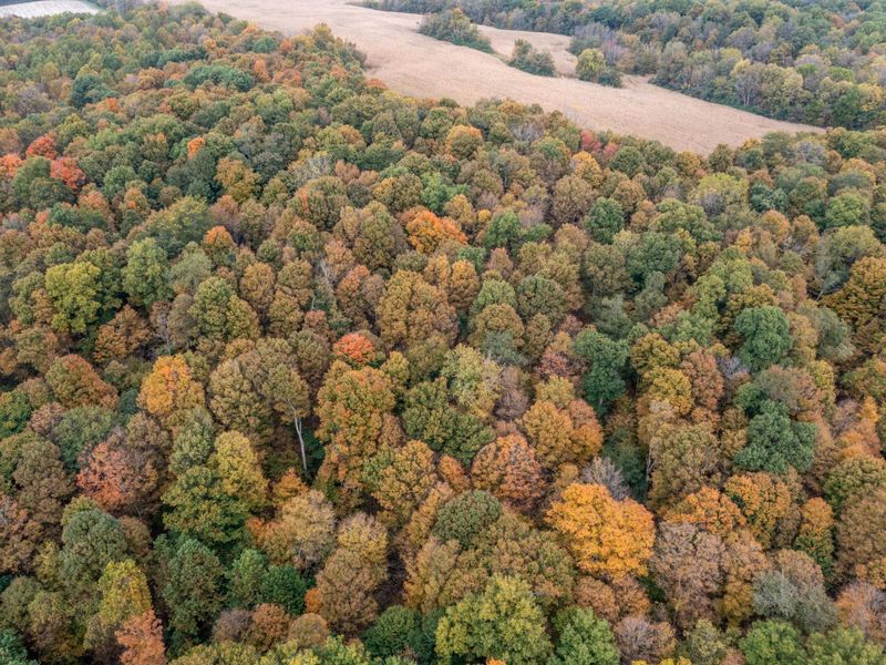 0 State Route 292, Lot G , Zanesfield, OH 43360 Photo 6