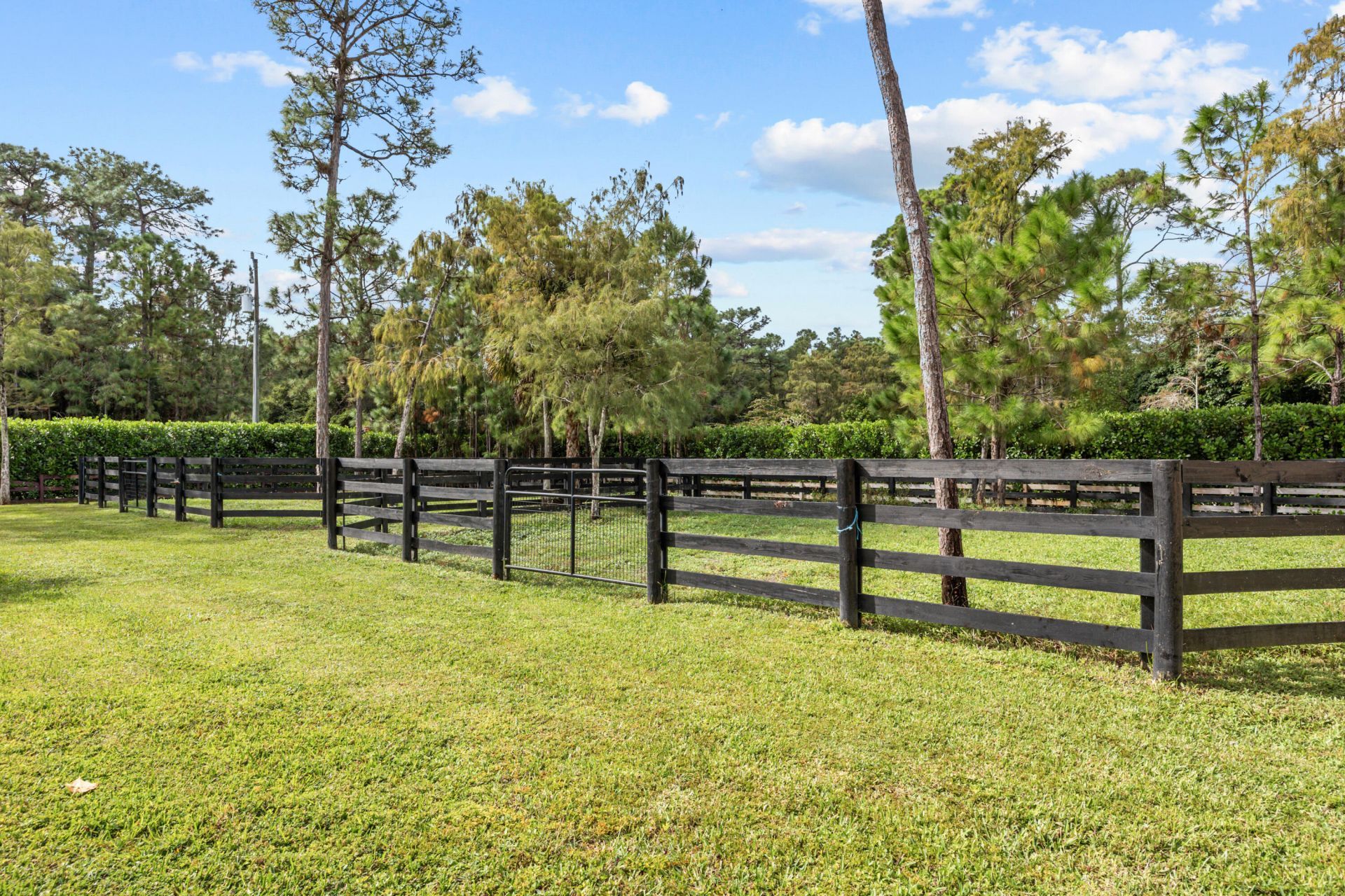 14407 Halter Road, Unit Barn, Wellington, FL 33414 Photo