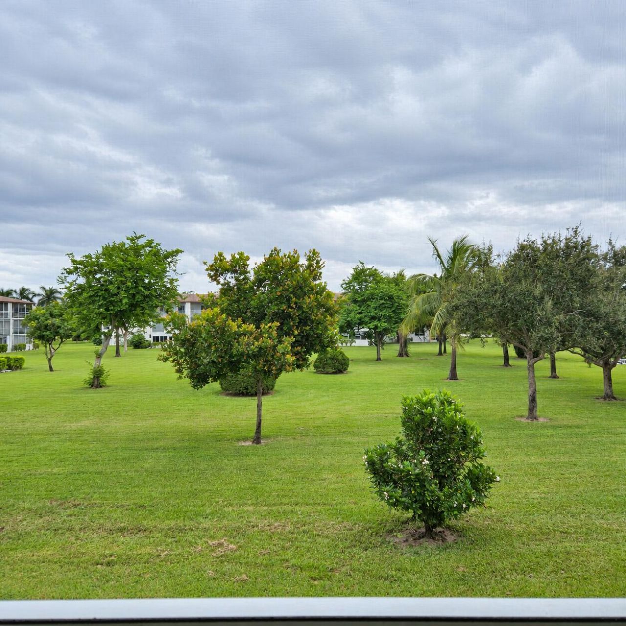 233 Brighton F, Unit 233, Boca Raton, FL 33434 Photo