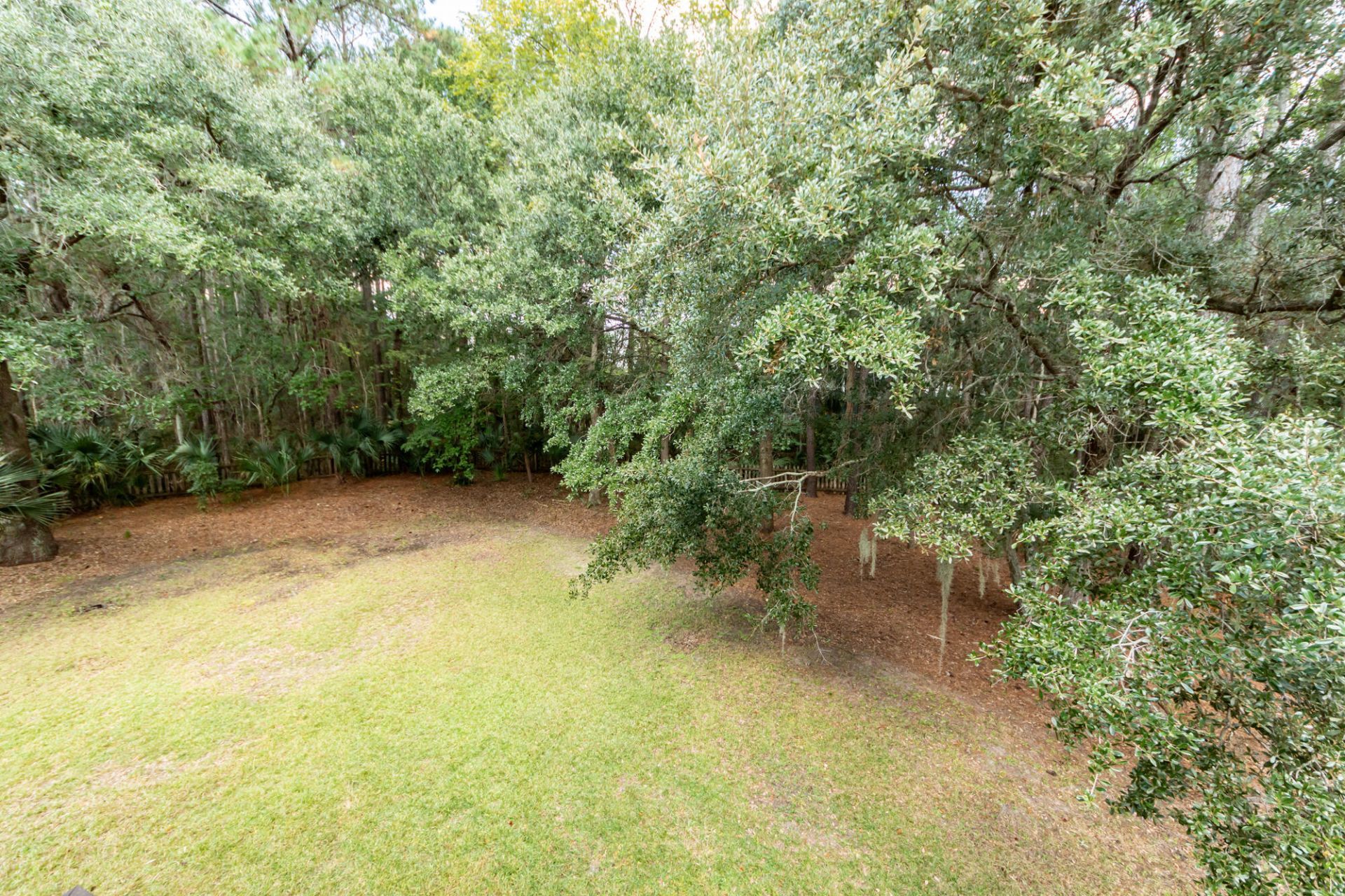 3303 Rees Row Photo 22