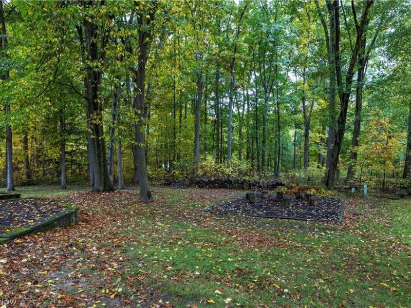 136 Parmelee Drive, Hudson, OH 44236 Photo 39
