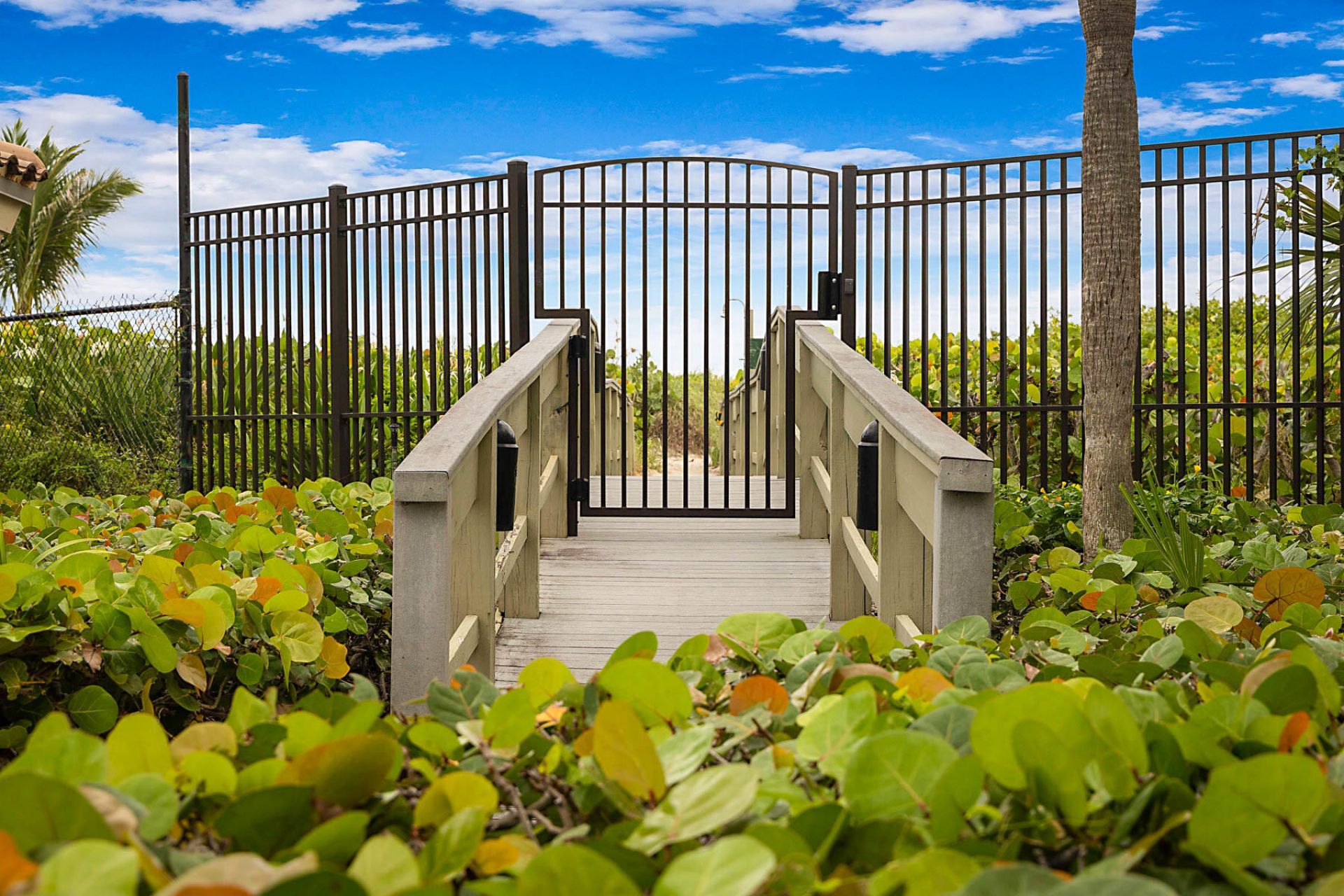 3400 N Ocean Drive, Unit 1005, Singer Island, FL 33404 Photo