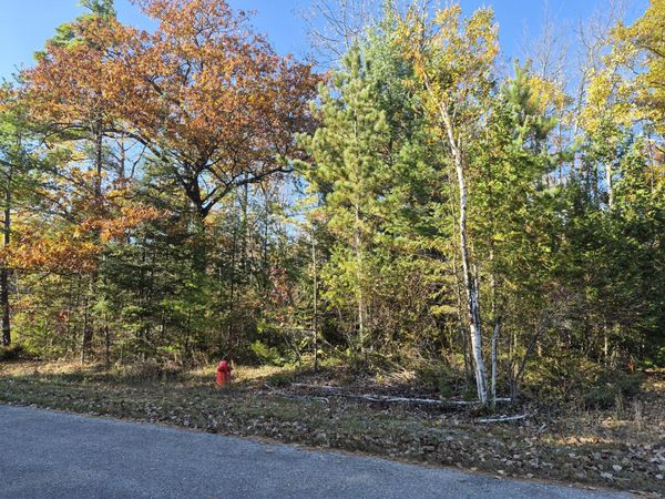 Lot 419 Bonita Drive, Presque Isle, MI 49777