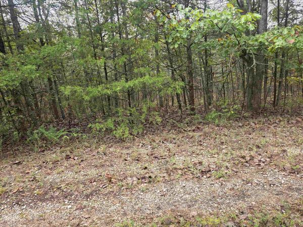 L-9, B-3 Yunsawi Trace , Cherokee Village, AR 72529