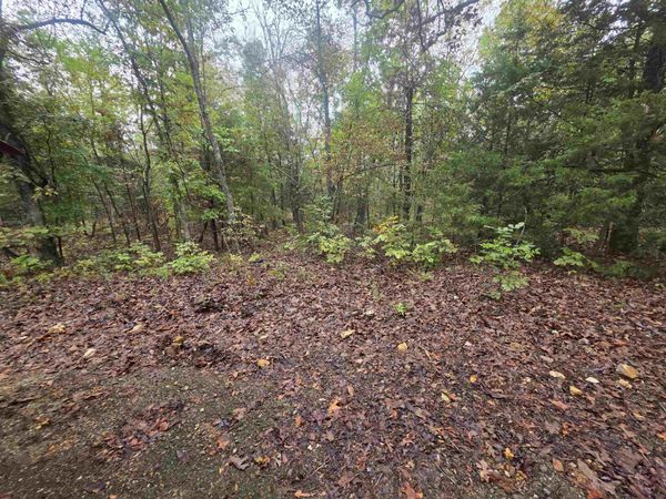 L-7, B-4 Olustee Drive , Cherokee Village, AR 72529