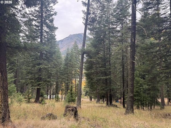 84555 TRAM LN, Joseph, OR 97846