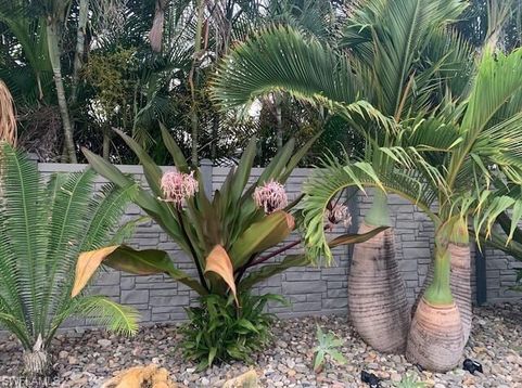 Main Photo