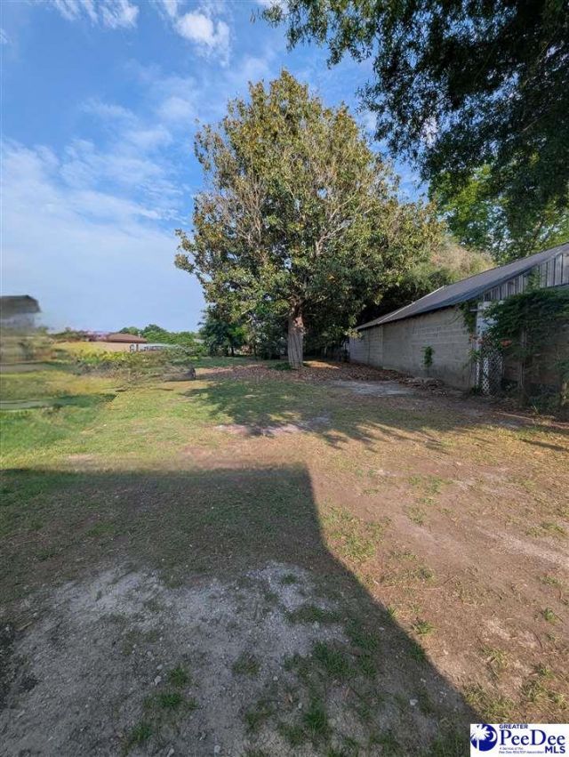 1110 Oakland Ave. Photo 13