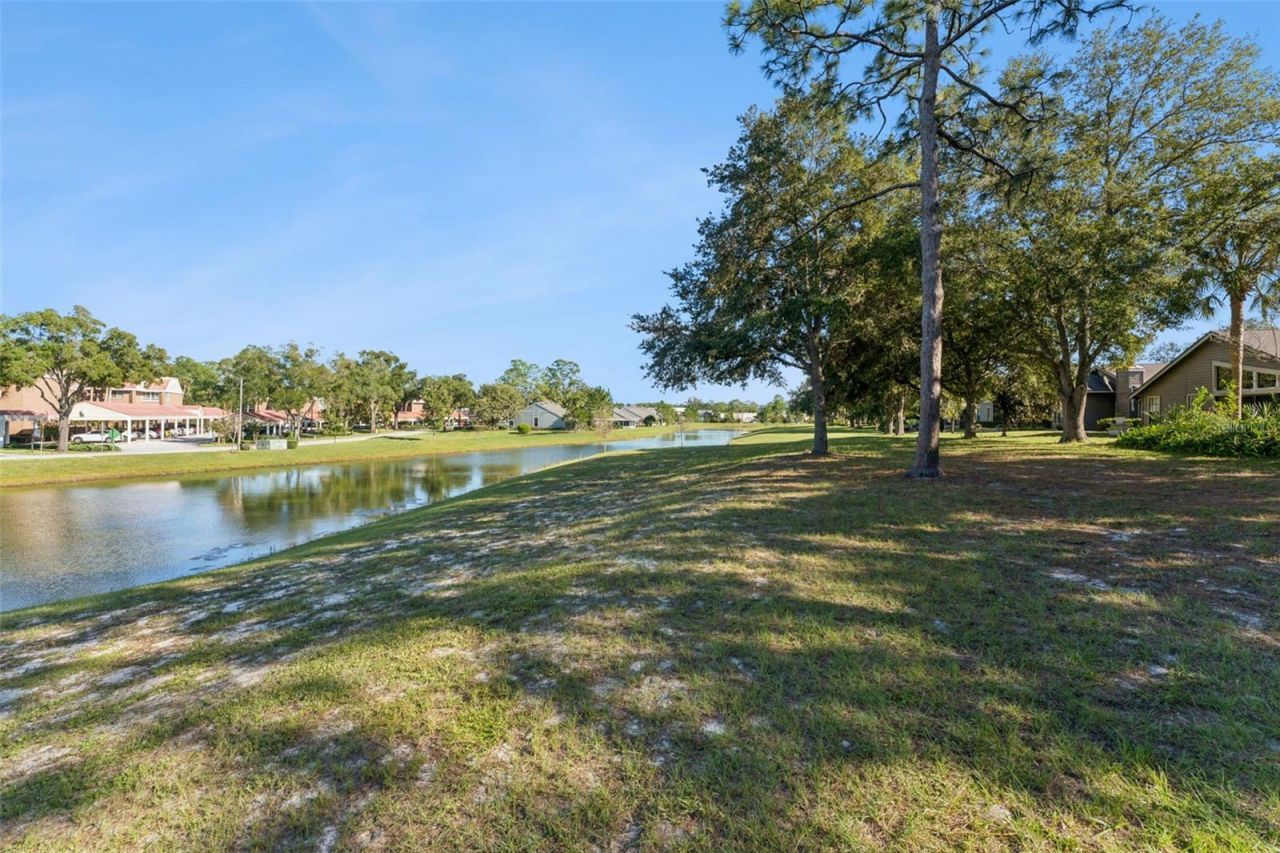 259 W Sabal Palm Place , Longwood, FL 32779 Photo