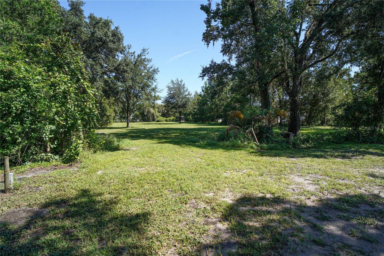 8000-8030 Belcher Lane , Land O Lakes, FL 34639 Photo