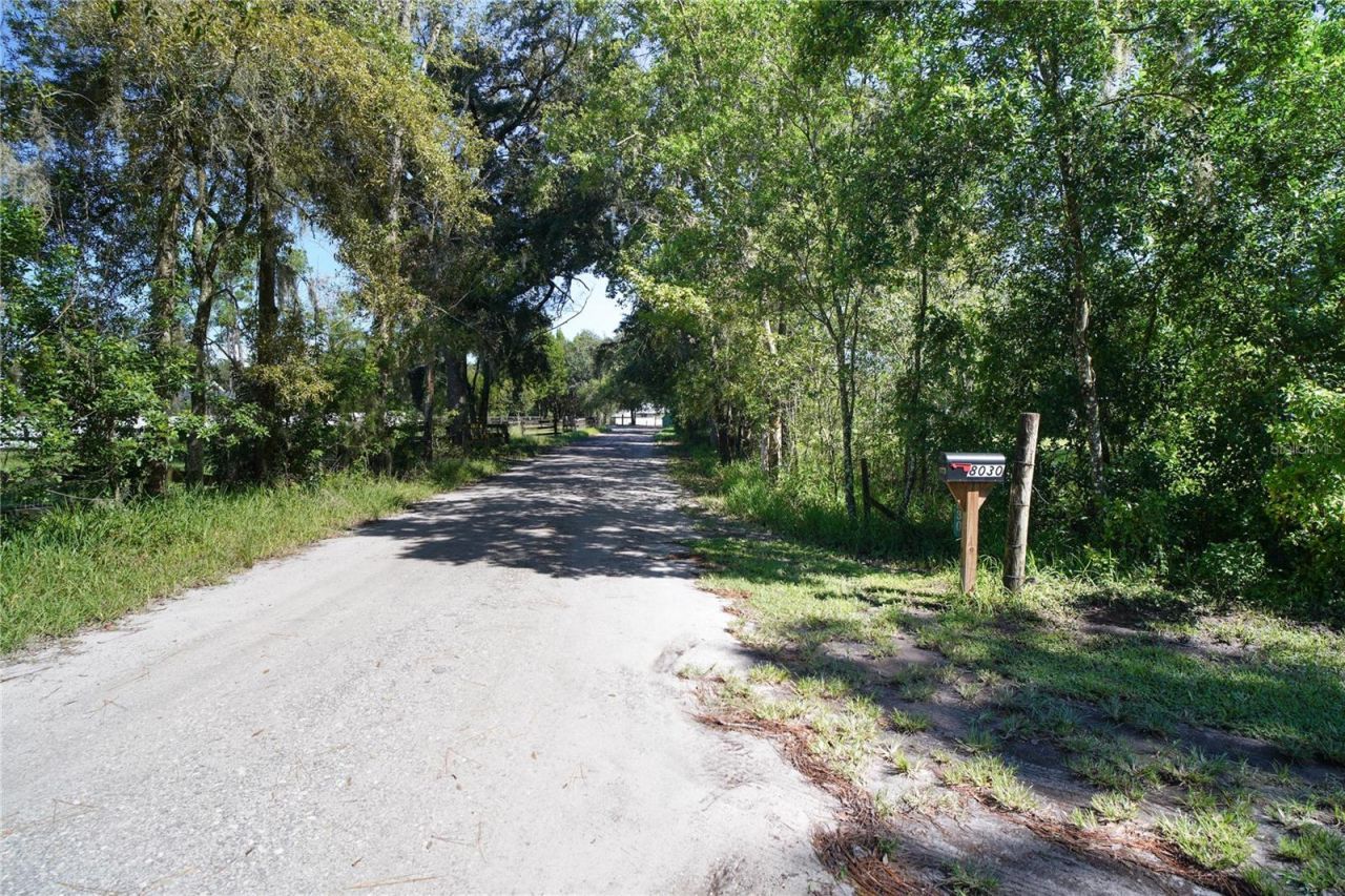 8000-8030 Belcher Lane , Land O Lakes, FL 34639 Photo