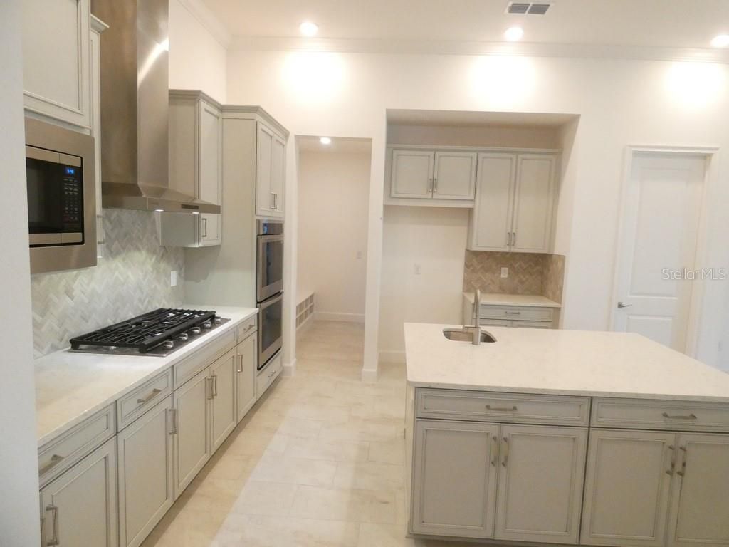 958 Signet Drive, Apollo Beach, FL 33572 Photo