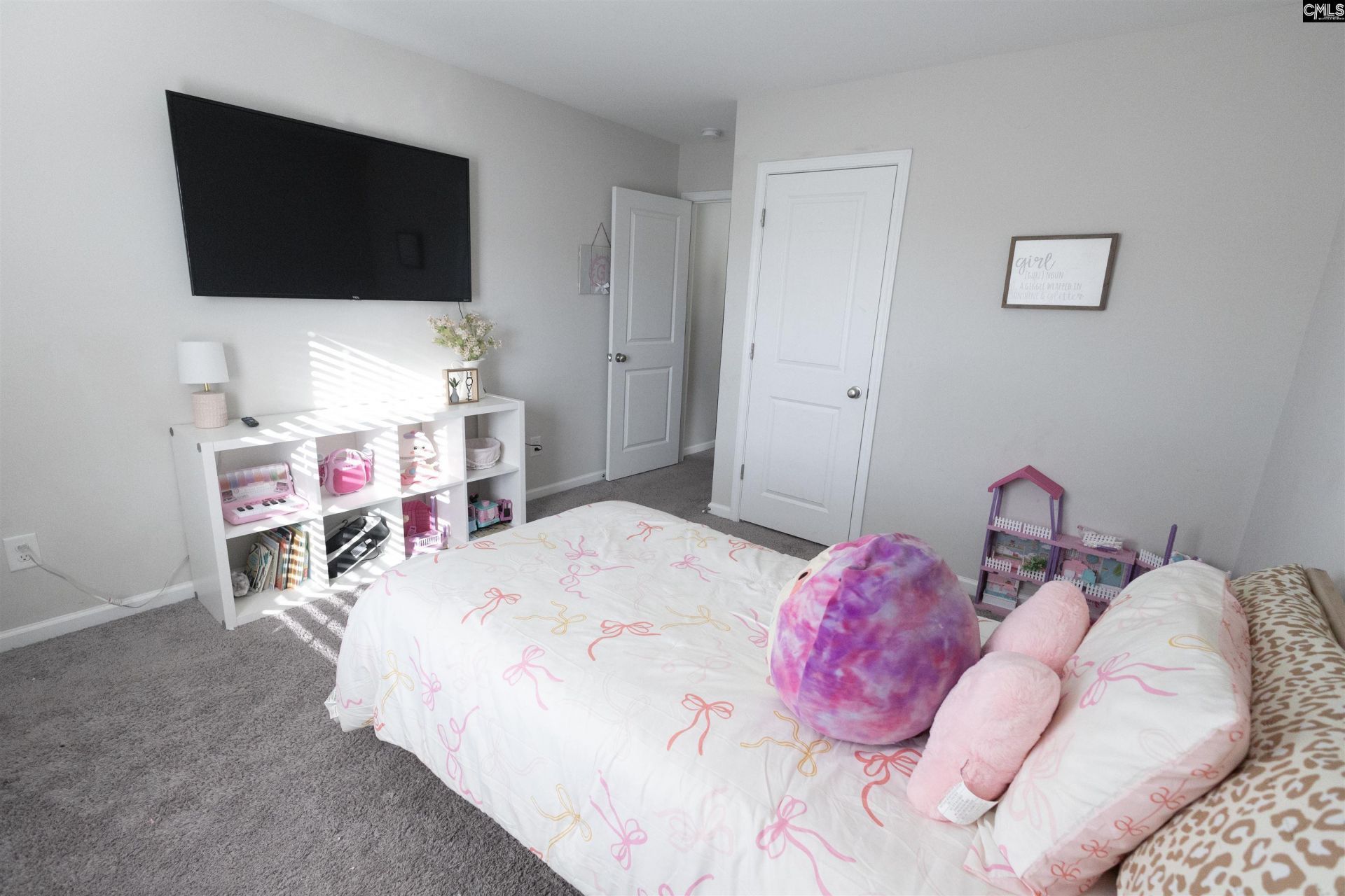 255 Nehemiah Road  Photo 17