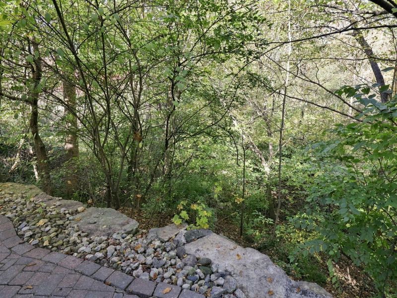 3269 Mccammon Chase Drive, Lewis Center, OH 43035 Photo 54