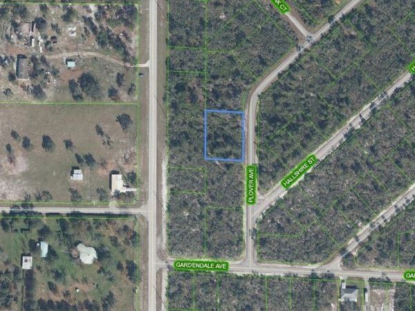 1046 PLOVER AVENUE , LAKE PLACID, FL 33852