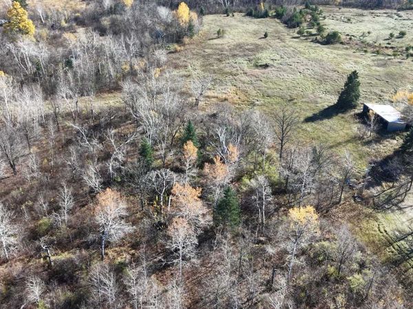 TBD Co 3 , Bemidji, MN 56601