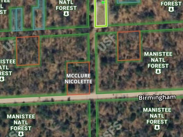 836 E Minneapolis Avenue, Idlewild, MI 49642