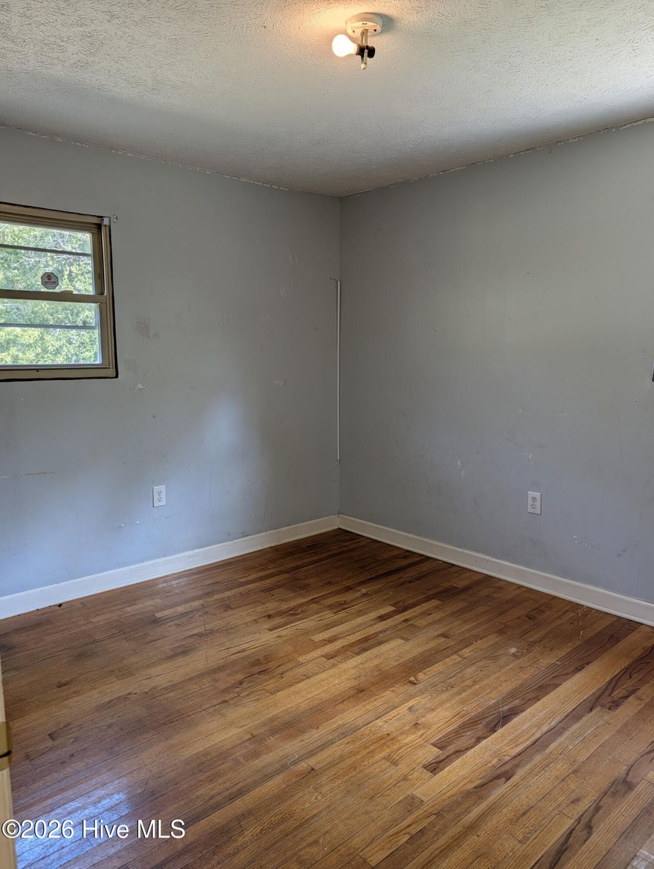 127 Wayland Street Photo 10