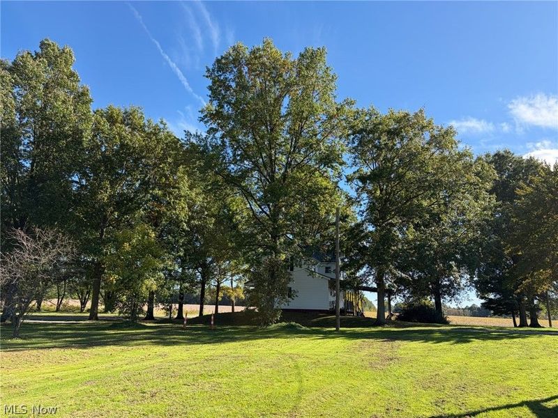 10580 Bandy Road, North Benton, OH 44449 Photo 9