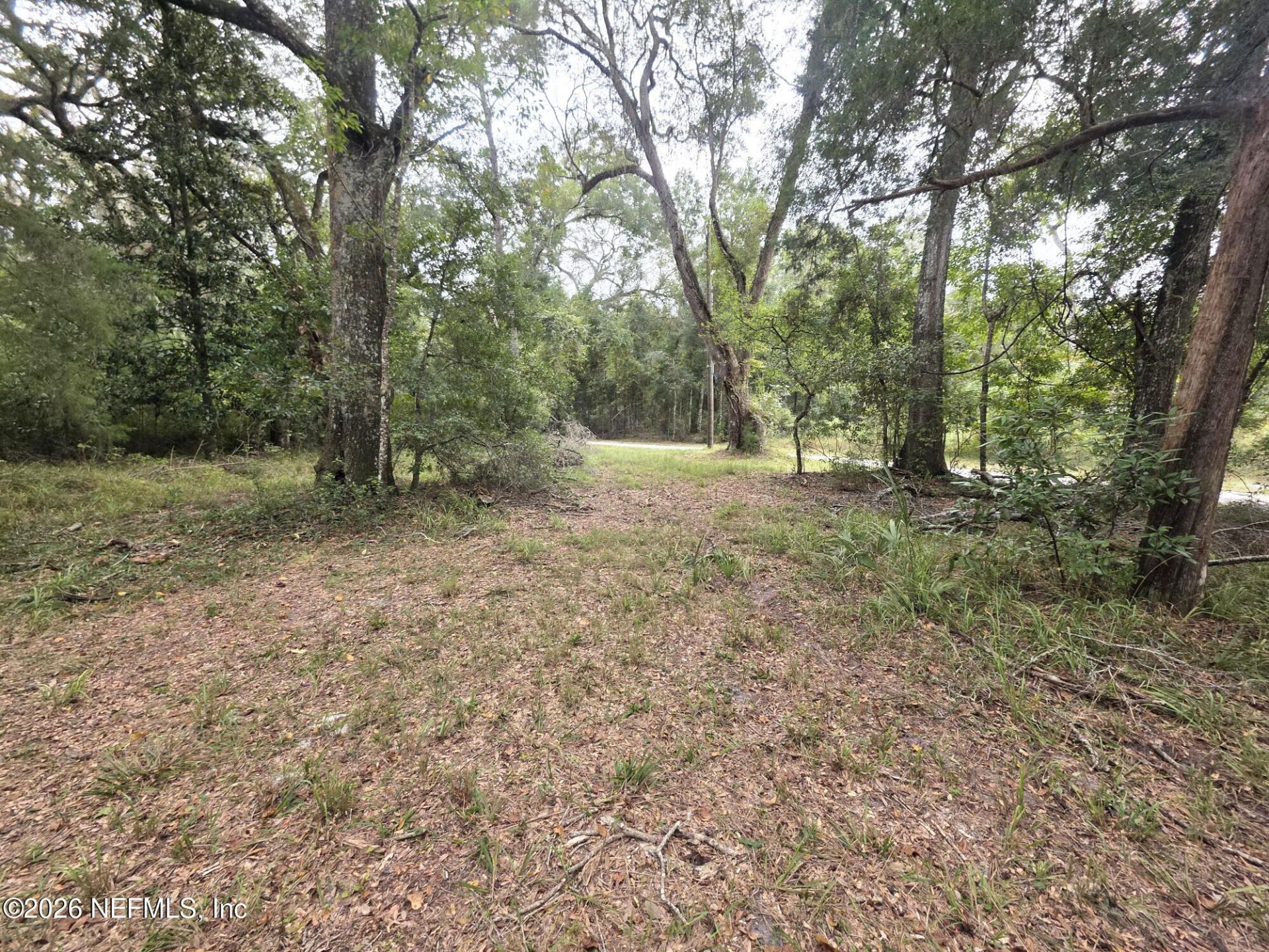 30624 65th Pl C, Branford, FL 32008 Photo