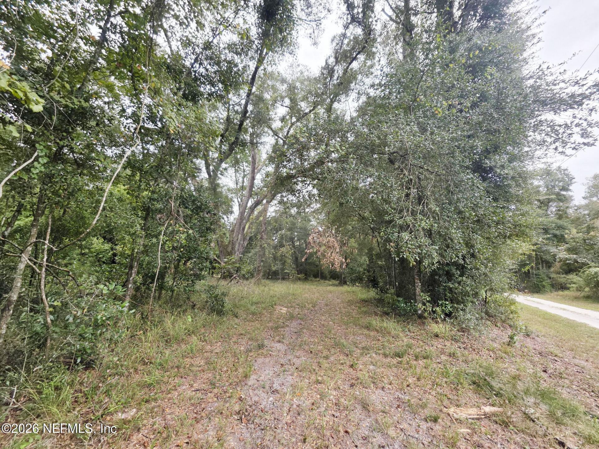 30624 65th Pl C, Branford, FL 32008 Photo