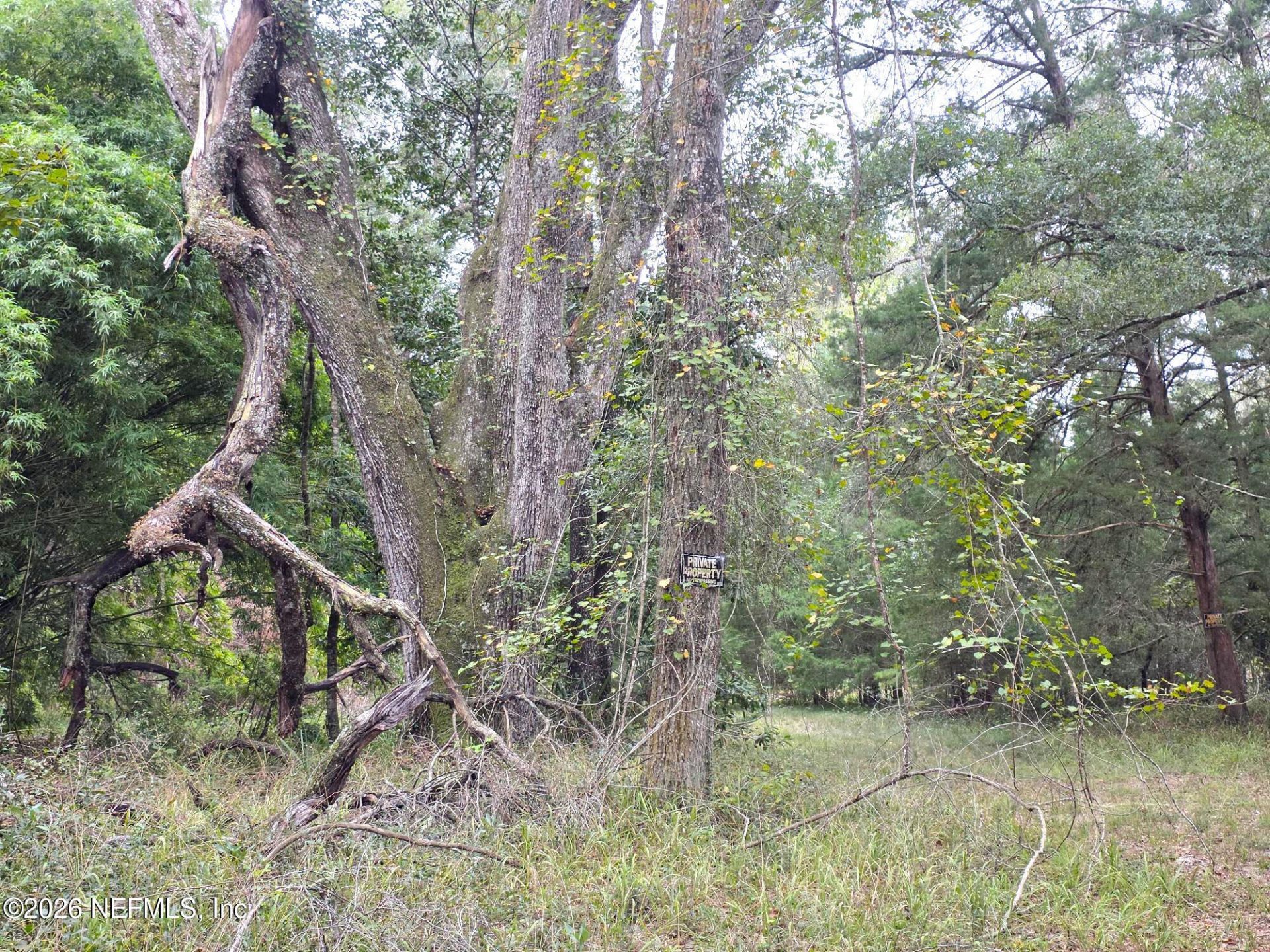30624 65th Pl C, Branford, FL 32008 Photo
