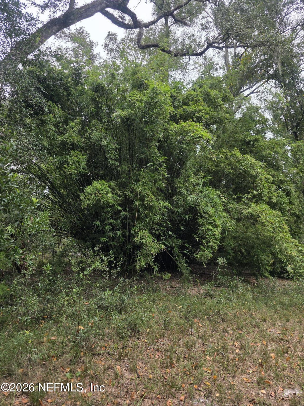 30624 65th Pl C, Branford, FL 32008 Photo