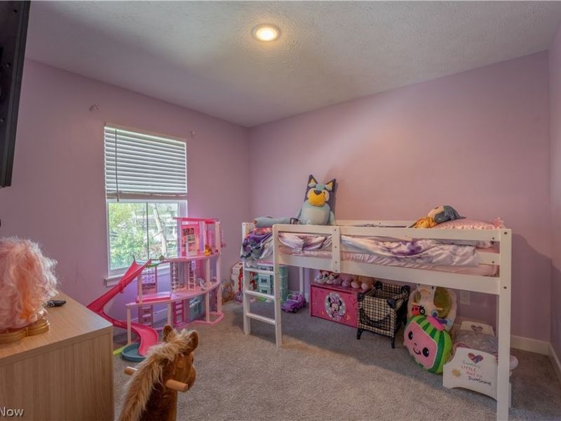 496 Auld Farm Circle, Akron, OH 44320 Photo 22