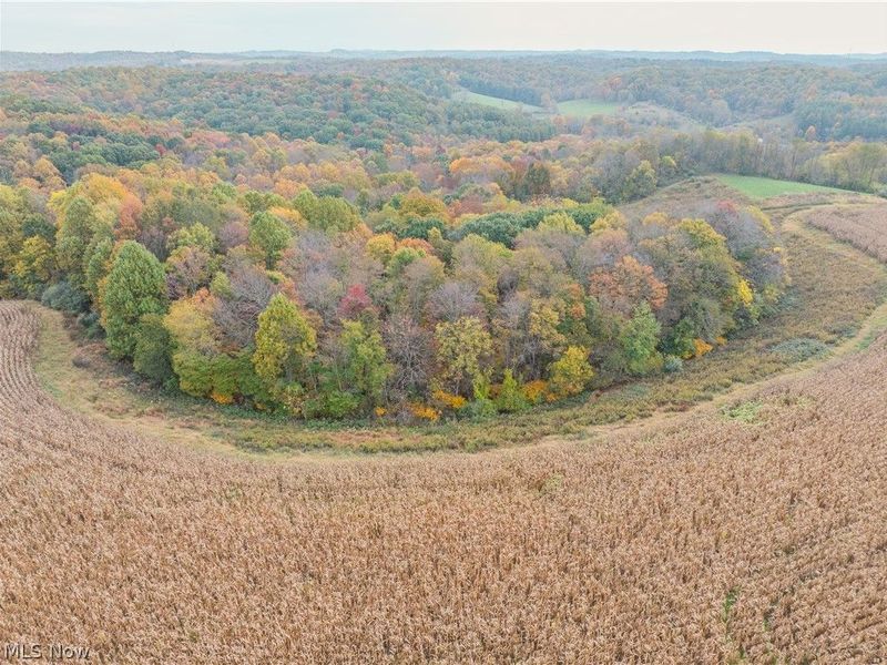 7733 Elliott Road, Newcomerstown, OH 43832 Photo 2