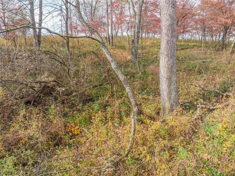 Elliott Road , Newcomerstown, OH 43832 Photo 8