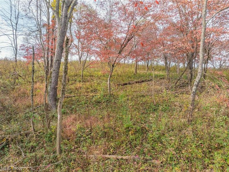 Elliott Road , Newcomerstown, OH 43832 Photo 9