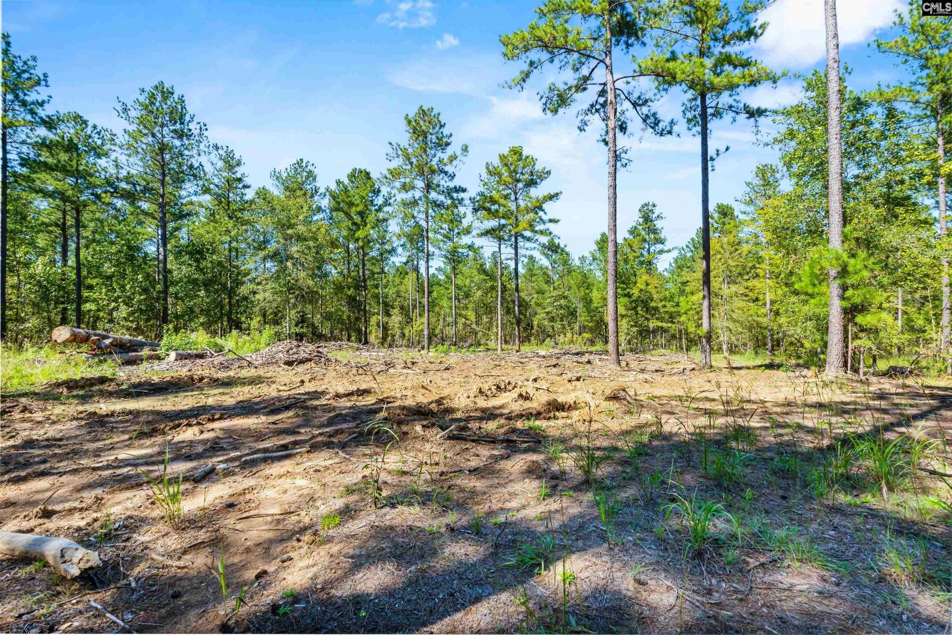 6a Plantation Pointe Road  Photo 11