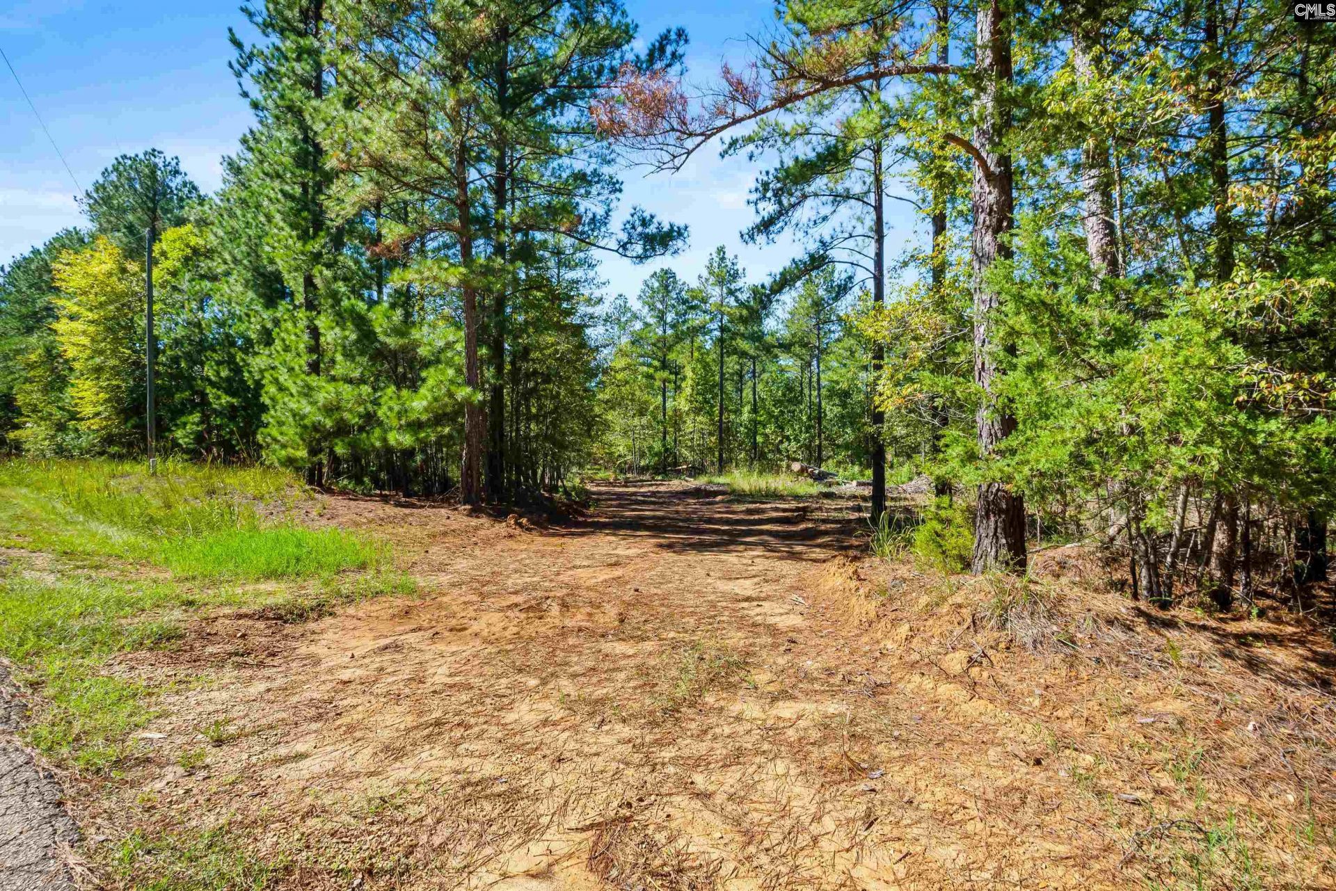 6a Plantation Pointe Road  Photo 12