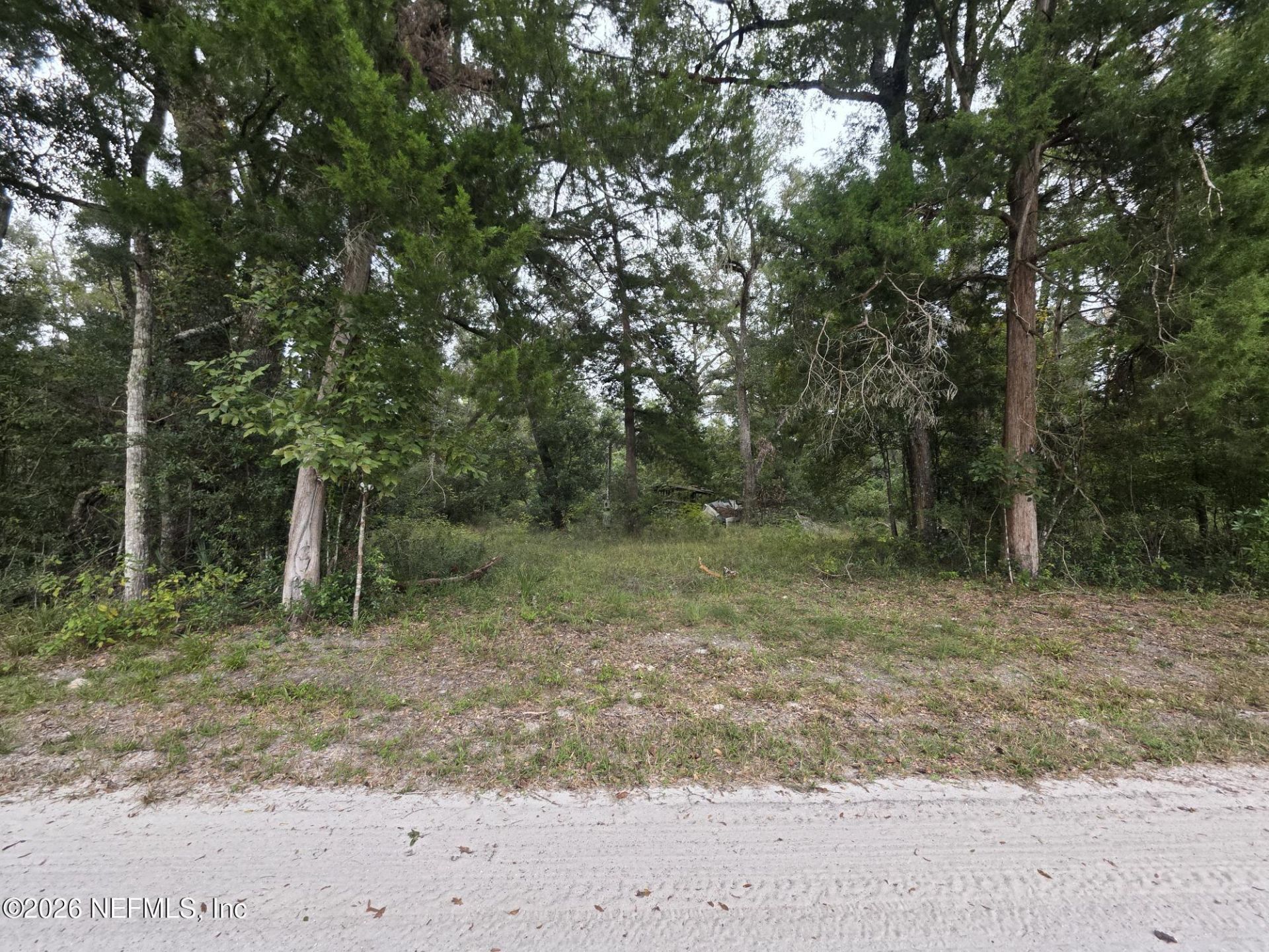 Tbd 65th Pl C, Branford, FL 32008 Photo