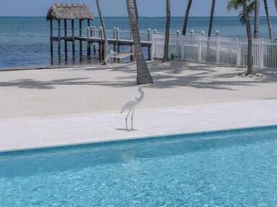 83265 Old Highway, Islamorada, FL 33036 Photo