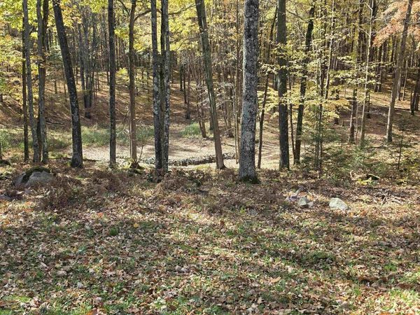 E HIGHTOWER DRIVE, Elderon, WI 54427