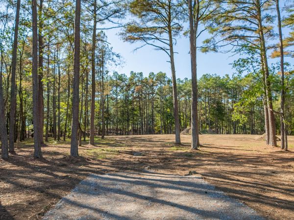 0 Tom Rail Road , Unit 1, Santa Fe, TN 38482