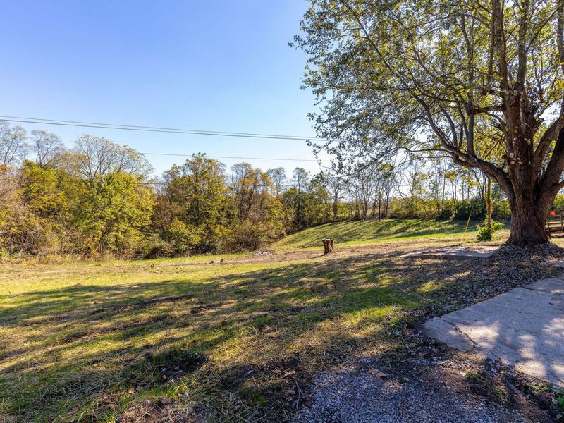 290 Vallandingham Road, Dry Ridge, KY 41035 Photo 35