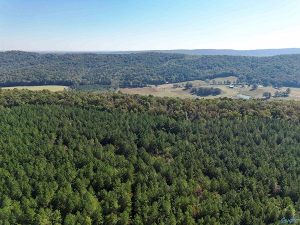 177 AC Mountain Drive, Remlap, AL 35133