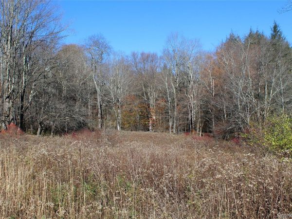 336 Dutch Hill Road , Call Listing Agent, NY 12776