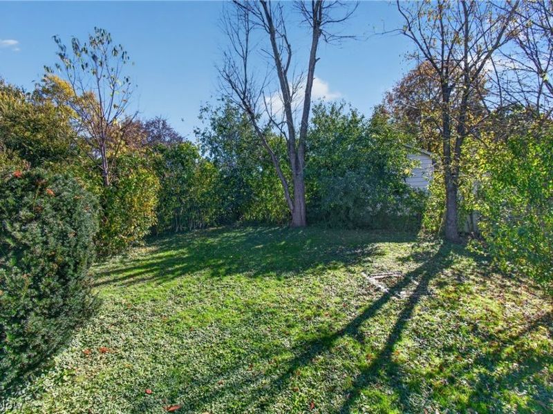 64 Palmetto Avenue, Akron, OH 44301 Photo 3