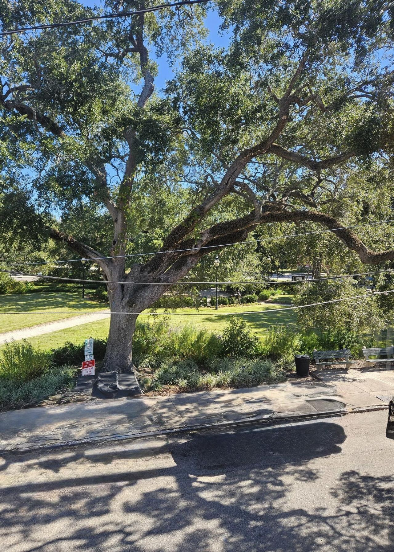 9 Aiken Street Photo 38