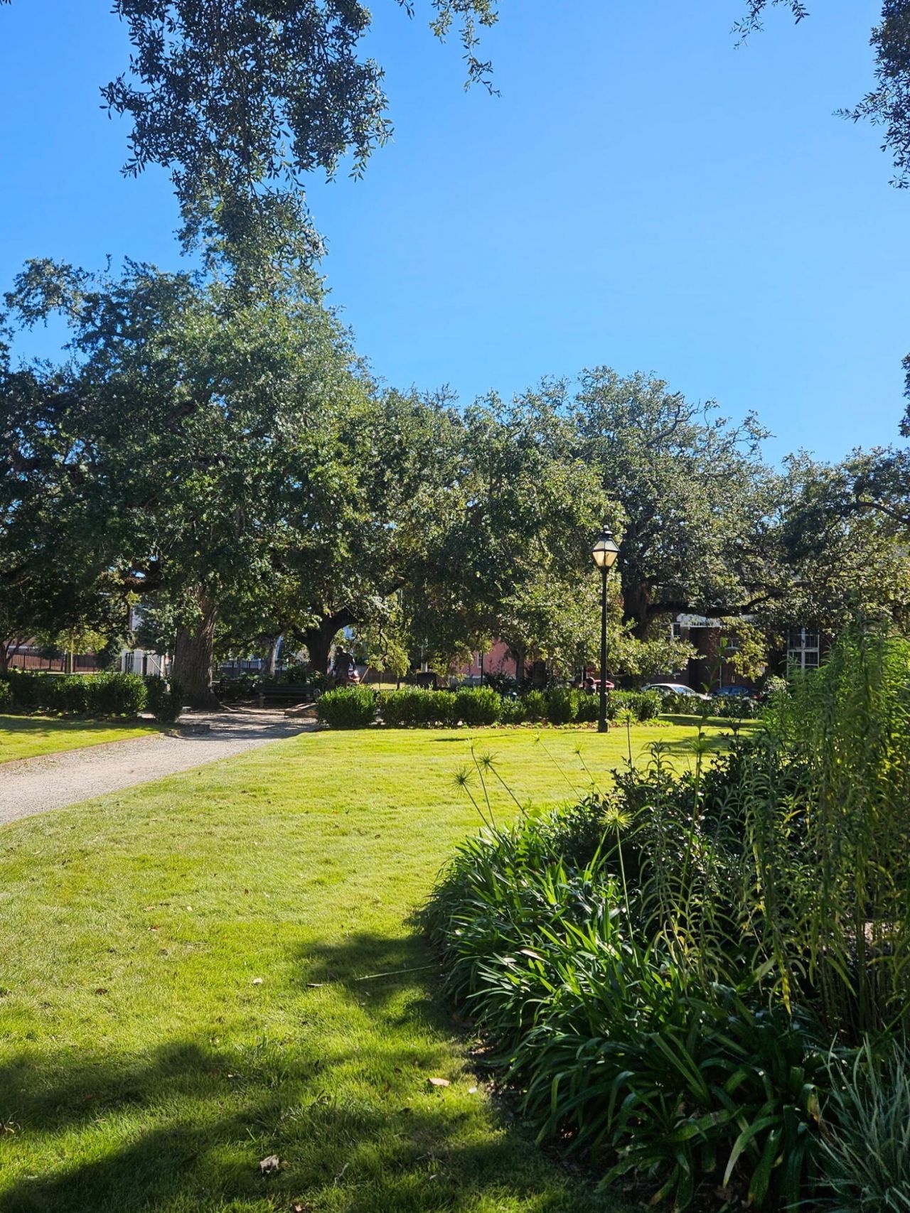 9 Aiken Street Photo 41