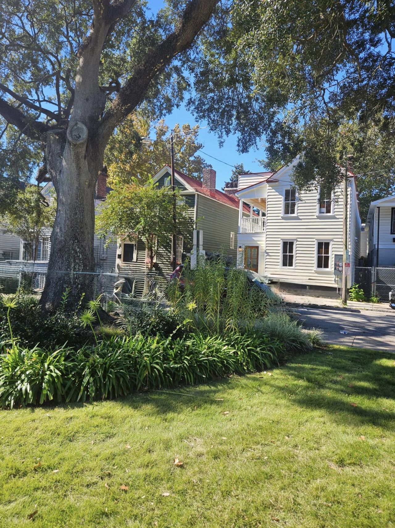 9 Aiken Street Photo 42