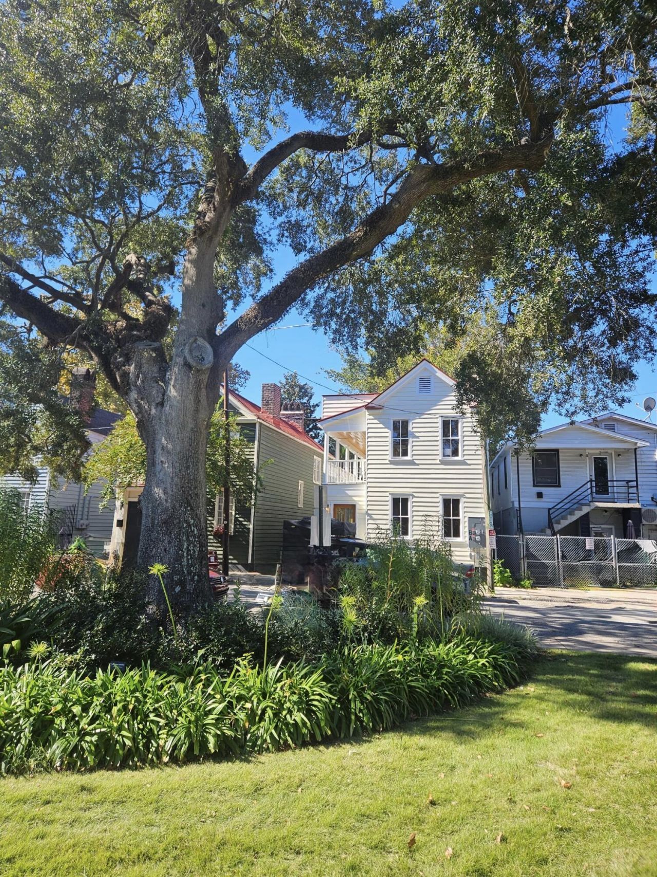 9 Aiken Street Photo 43