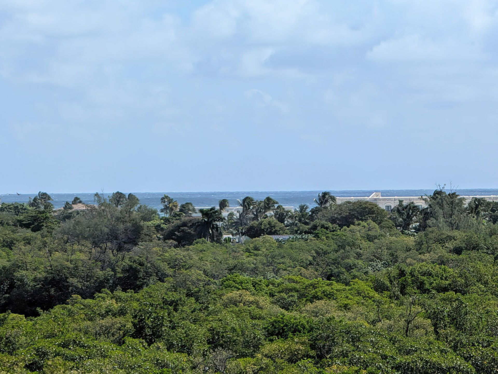 450 N Federal Highway, Unit 610, Boynton Beach, FL 33435 Photo
